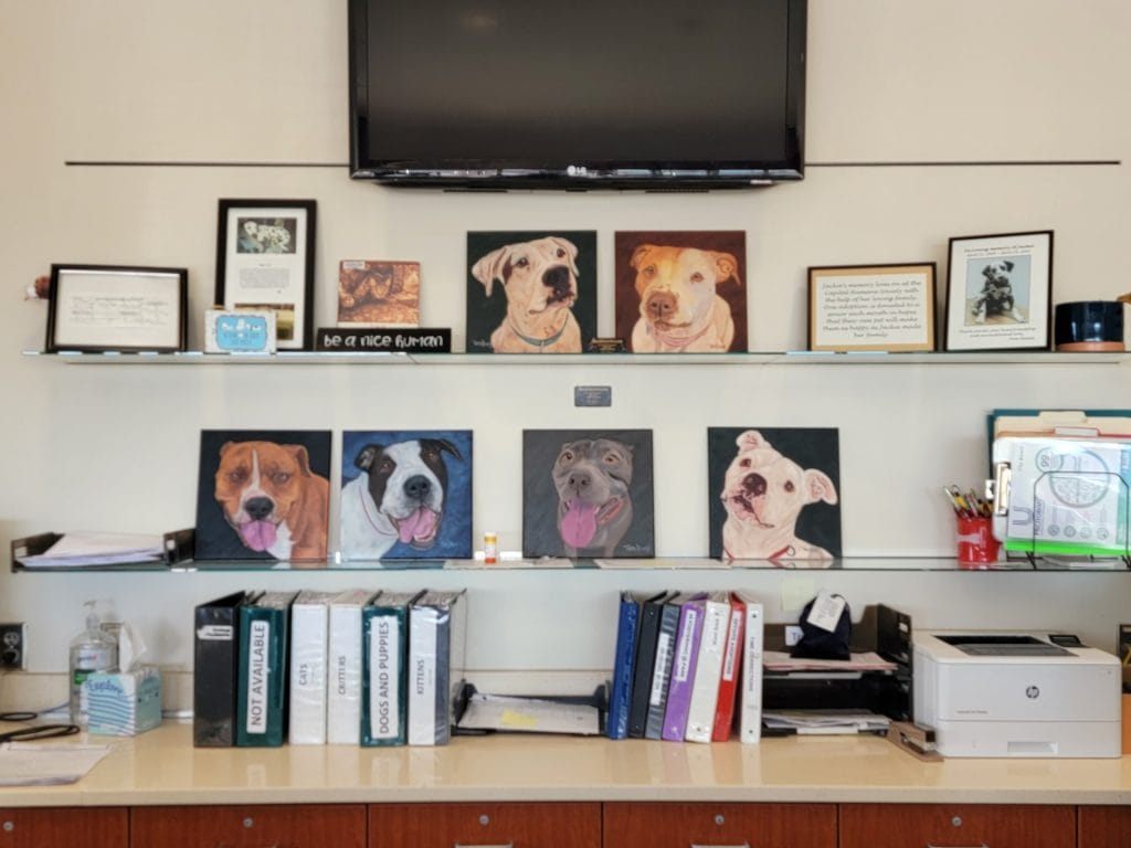 The painting portraits of the six remaining rescued dogs at the humane society.